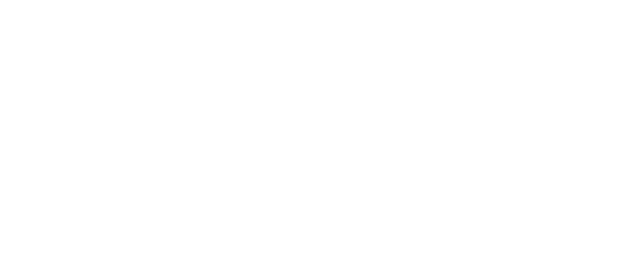 prmr-pr-logo-white